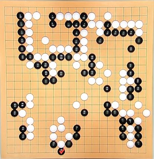 AI와 바둑의 공존: 인간의 예술성과 감정 (60자 이내)
SEO 설명: AI는 수를 계산하지만, 인간은 바