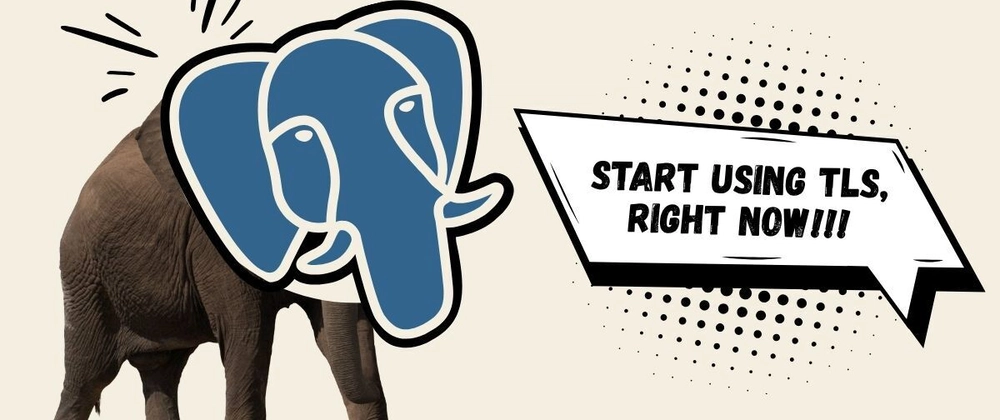Docker 기반 PostgreSQL 보안: SSL/TLS 설정 가이드