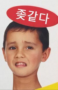 프론트엔드 개발자들의 React 복잡성과 경량 프레임워크 선택 고민