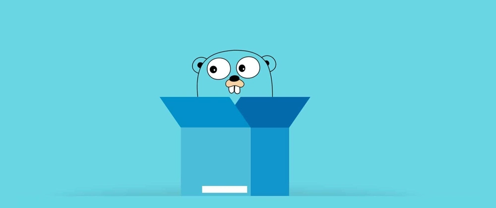 Golang Functional Options 패턴 완벽 가이드