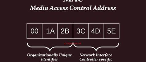 MAC Address Extraction with PHP on Multi-OS Platforms