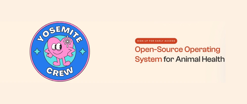 Turborepo로 Monorepo 구조 설정: 웹, API, React Native 프로젝트