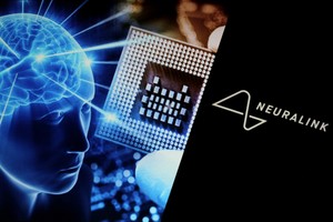 Neuralink Blindspot Implant Test Success: Monkeys Perceive V
