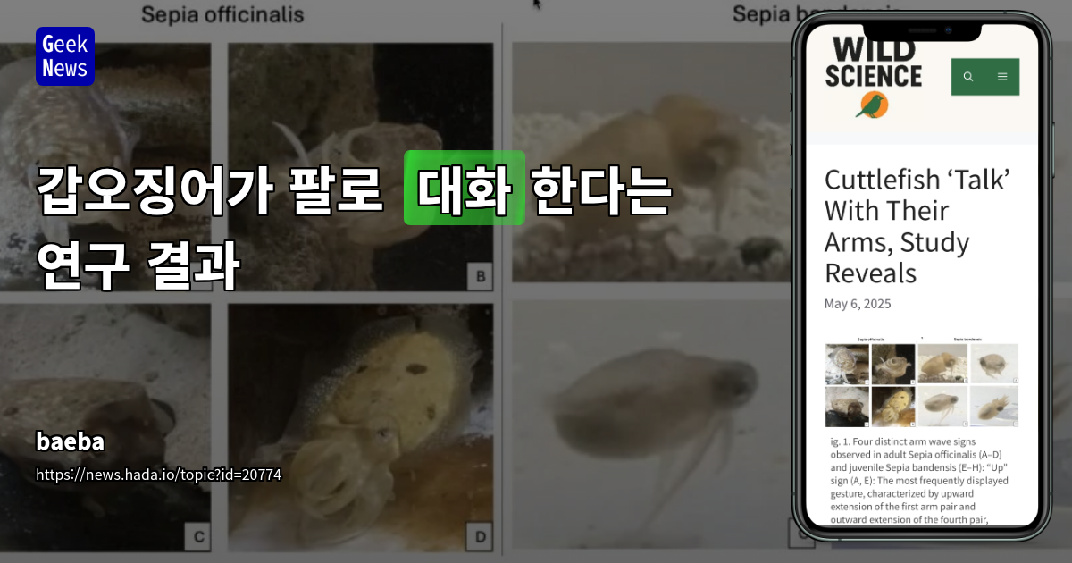 갑오징어 팔 제스처로 의사소통 연구