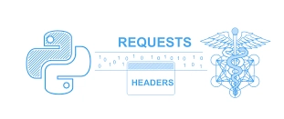 Python requests 라이브러리로 API 데이터 추출 가이드