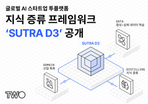 SUTRA D3 프레임워크로 기업 맞춤형 AI 모델 학습 가능